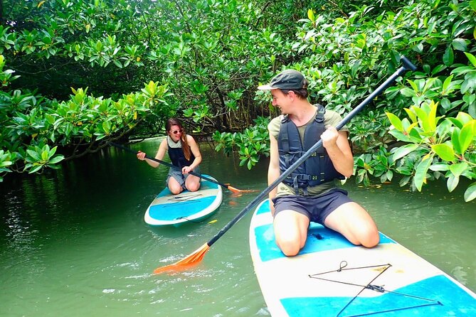[Ishigaki]Mangrove SUP/Canoe Blue Cave Snorkeling - Health Conditions and Weather Requirement