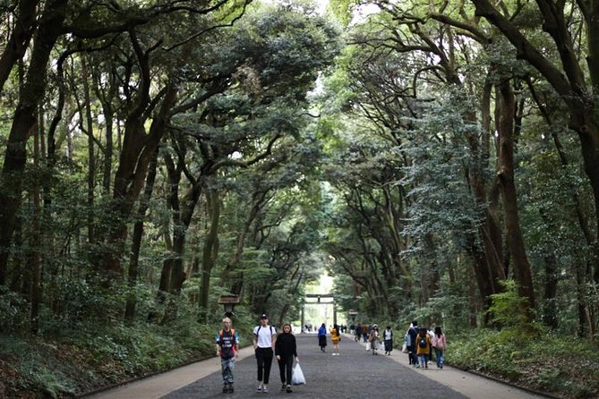 Japan Discovery Tour (12 Days) - Logistics and Group Size