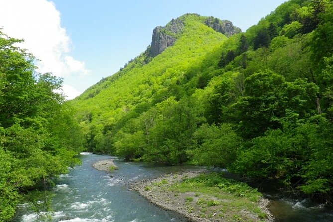 Japan Hokkaido Asahikawa Private Tour by Minivan - Quick Takeaways