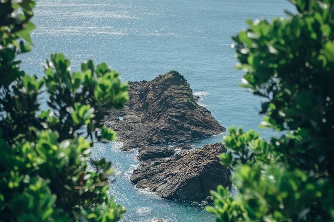 Kagoshima Custom Half Day Tour - Pickup Details