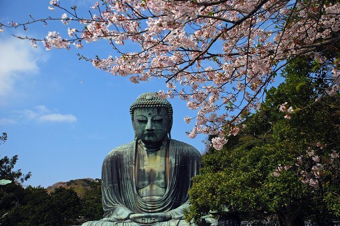 Kamakura Private Custom Tour - Expert Guide