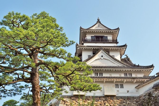 Kochi Full-Day Private Trip With Government-Licensed Guide - Inclusions