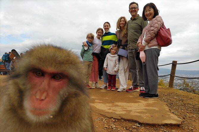 Kyoto 8 Hr Tour From Osaka: English Speaking Driver, No Guide - Itinerary Overview