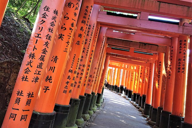 Kyoto Late Bird Tour - Reviews