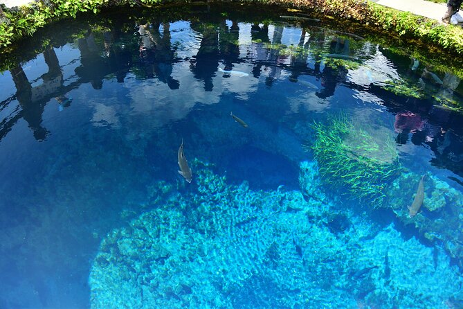 Mount Fuji Five Lakes Tour From Tokyo With Guide & Vehicle - Highlights of Mount Fuji