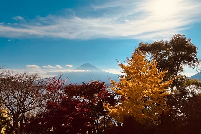 Mount Fuji Panoramic View & Shopping Day Tour - Meeting and Pickup Information