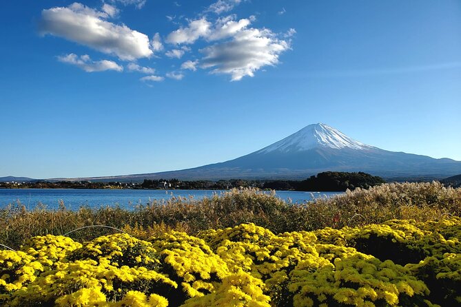 Mount Fuji Personalized Private Tour With English Speaking Guide - Pricing and Booking Information