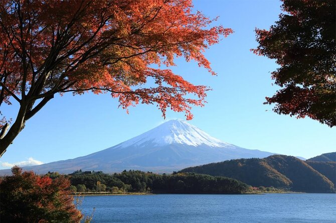 Mt. Fuji & Hakone Bullet Train 1 Day Tour From Tokyo Station Area - Meeting Point and Start Time