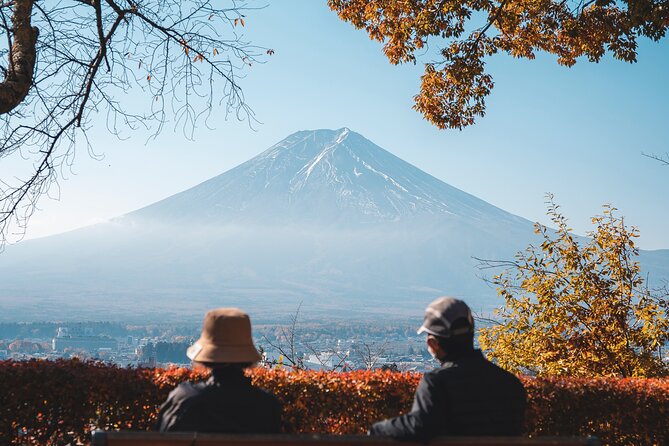 Mt Fuji, Hakone Private Tour by Car With Pickup - Booking and Cancellation