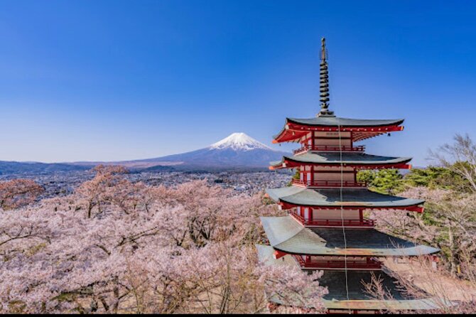 Mt. Fuji Private Sightseeing With Bilingual Chauffeur - Tour Details