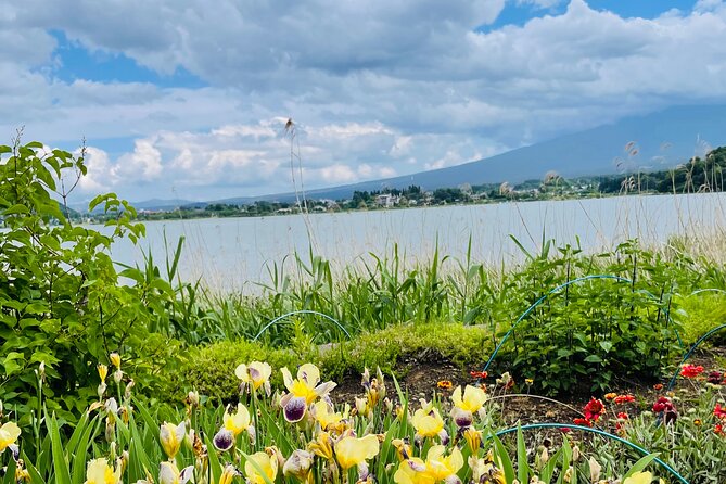 Mt Fuji Private Tour With English Speaking Driver - Cancellation Policy and Refunds