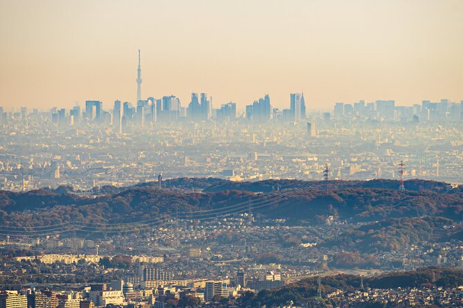 Mt.TAKAO Trekking 1 Day Tour - Trekking Routes and Difficulty Levels