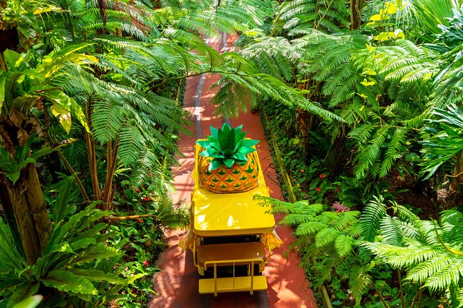 Nago Pineapple Park Attraction Tickets - Skip the Ticket Line and Enjoy General Admission