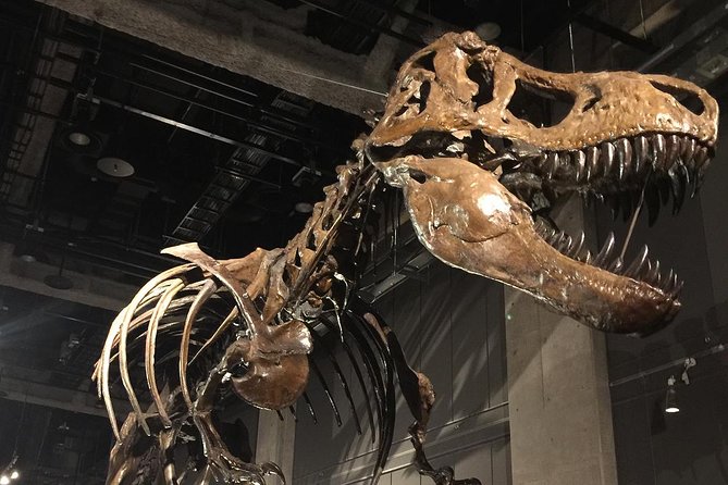 Nagoya / Aichi Half-Day Private Custom Tour With National Licensed Guide - Transportation Options