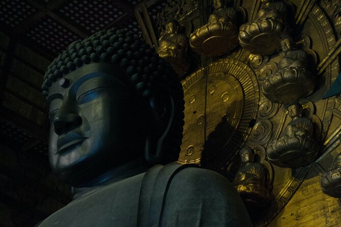 Nara Like a Local: Customized Private Tour - Overview of the Tour