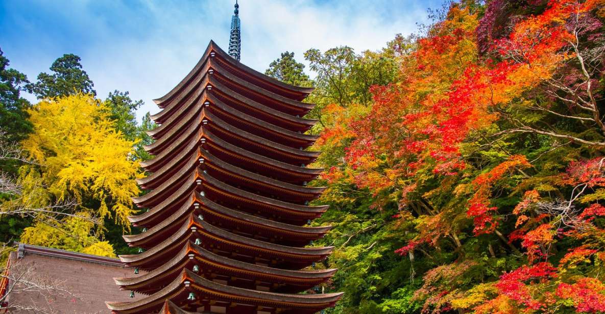 Nara: Private Tour With Private Guide - Experience Highlights