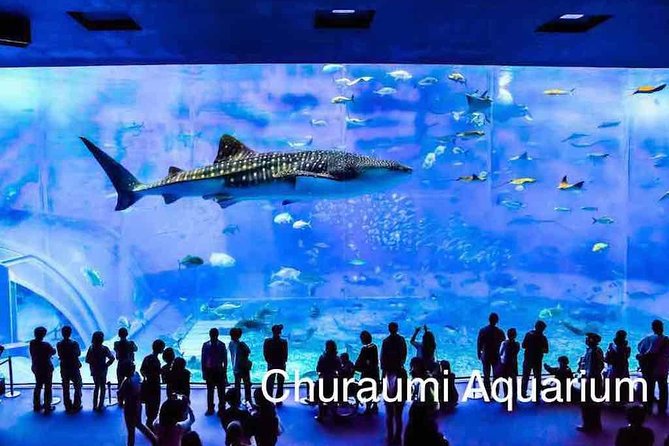 Okinawa Full-Day Private Transport Service  - Naha - Inclusions and Expenses Covered