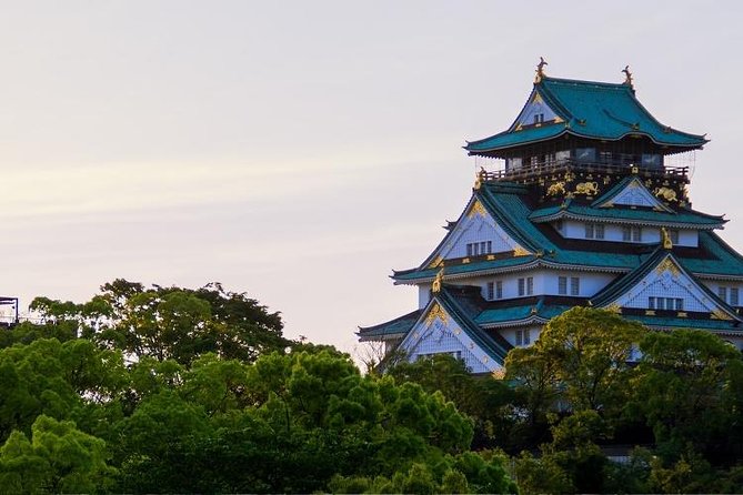 Osaka Custom Full Day Tour - Inclusions