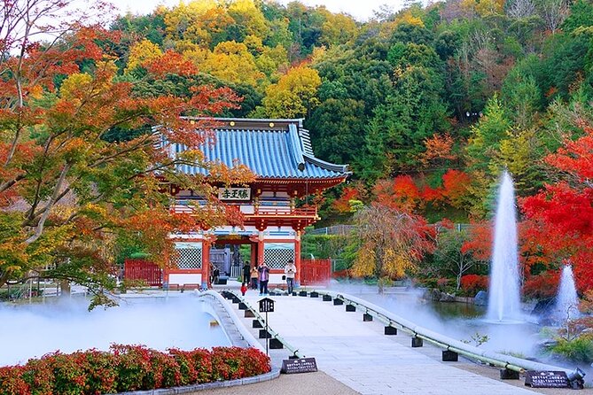 Osaka Nature Walking Tour - Minoh Hidden Beauty - Local Wildlife and Flora