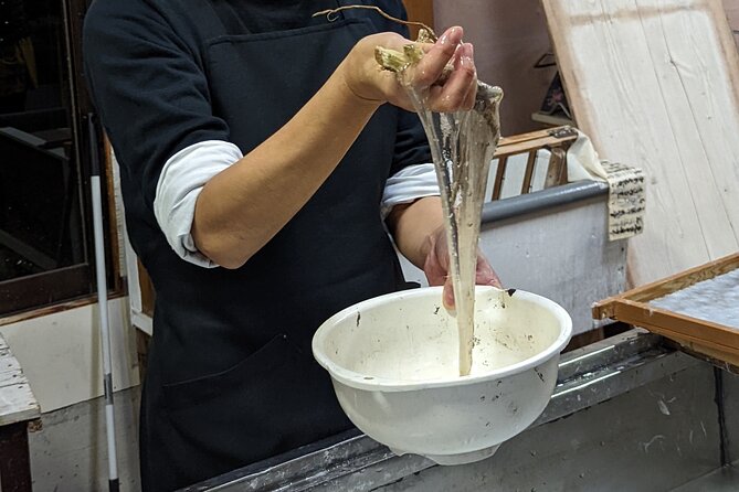 Private Adventure Tour in Northern Ibaraki and Washi Paper Making - Fees and Taxes