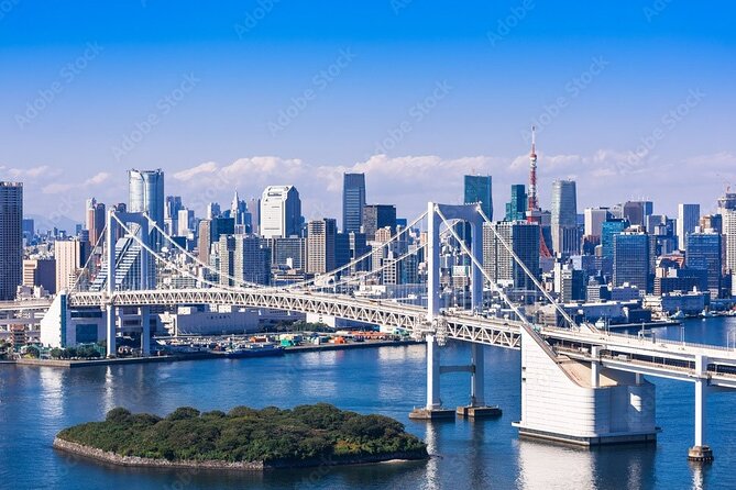 Private Day Tour in Tokyo With Government-Licensed Guide - Whats Included