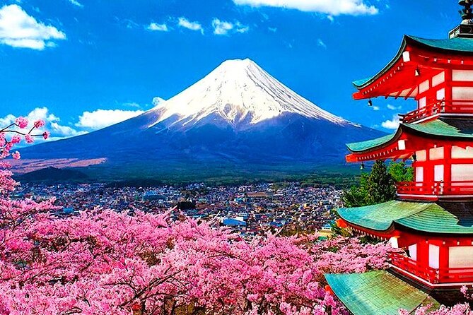 Private Guided MT Fuji and Hakone Full Day Sightseeing Tour - Tour Details and Itinerary
