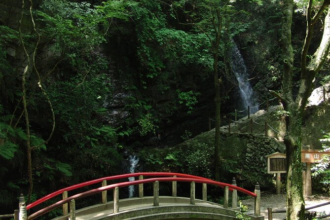Private Hiking Activity Near Tokyo - Meeting and Pickup