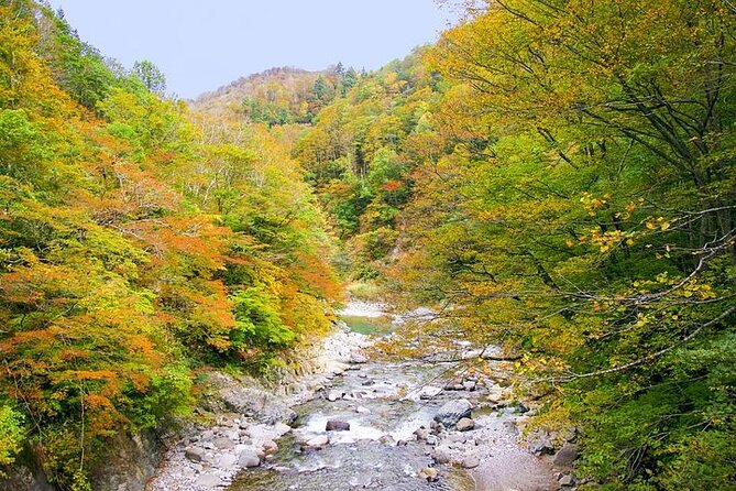 Private Karuizawa, Nagano Tour - Bilingual Chauffeur - Inclusions