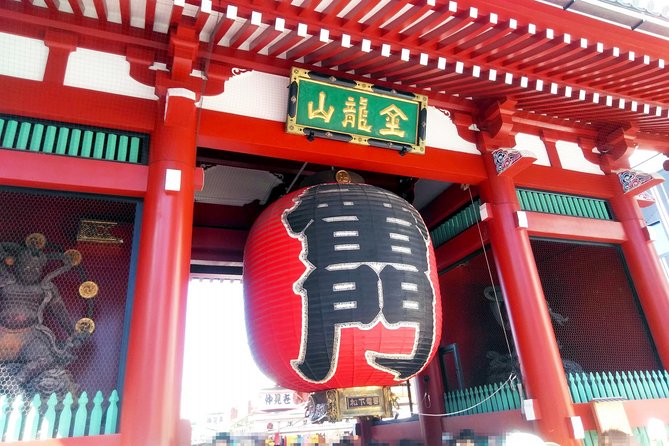 Private Tokyo Custom Walking Tour With a Water Bus Ride - Water Bus Ride Experience