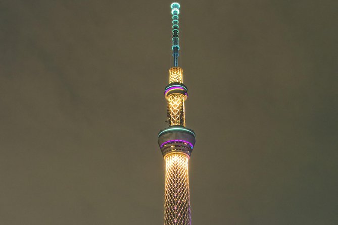 Private Transport 1 Day Tokyo Tour - Overview of the Tour