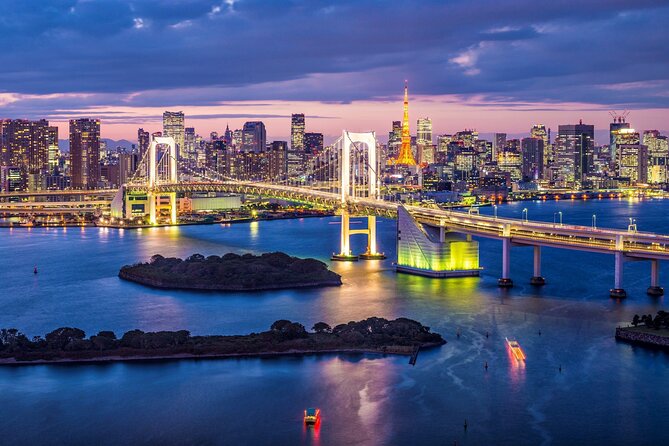 Private Transport Tokyo City Night View Tour - Meeting and Pickup