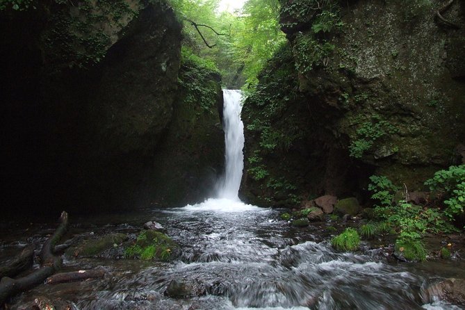 Relax and Refresh in Karuizawa Forest! Shinanoji Down Trekking Around Two People - Traveler Photos