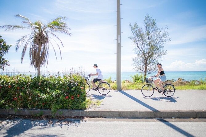 Remote Island Ryukyu Culture Experience Tour in Okinawa - Ryukyu Culture Immersion