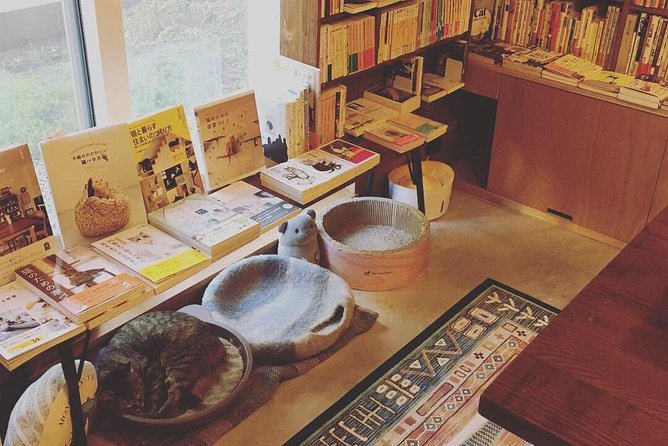 Setagaya Cat Tour! - Itinerary Overview