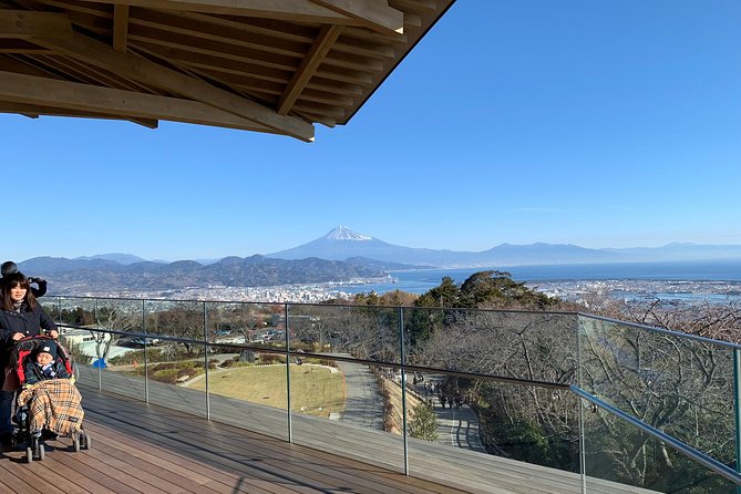 Sightseeing Around Shimizu Port for Cruise Ship Passengers - Exploring Shimizu City Center