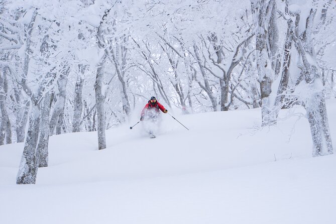 Ski or Snowboard Lesson in Shiga Kogen (4Hours) - Duration and Schedule