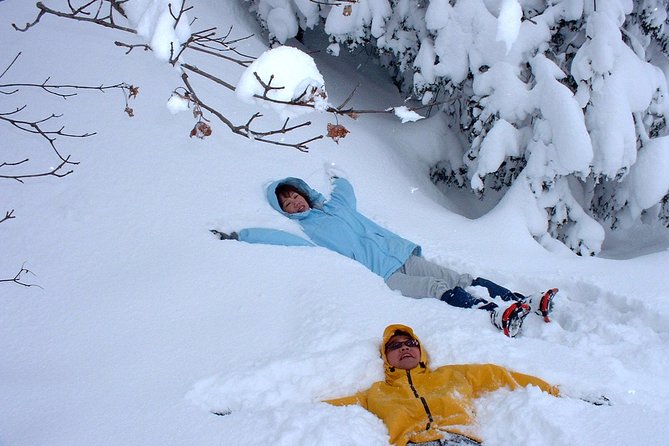 Snowshoe Tour - Transportation and Health Considerations