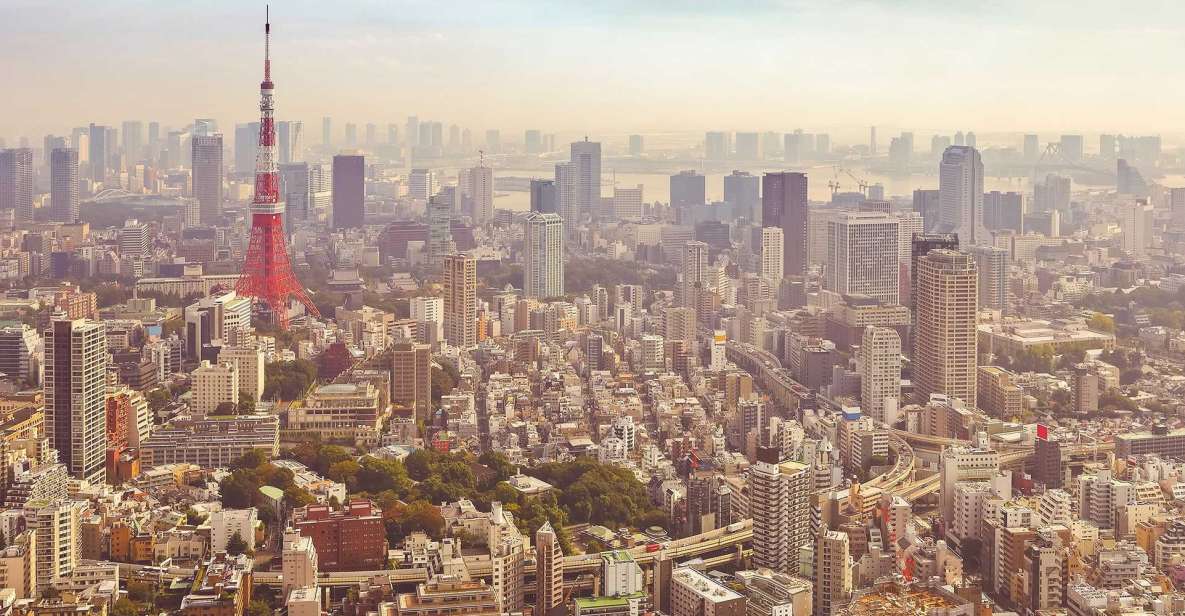 Tokyo: Private Customizable Day Tour of Tokyo - Experience