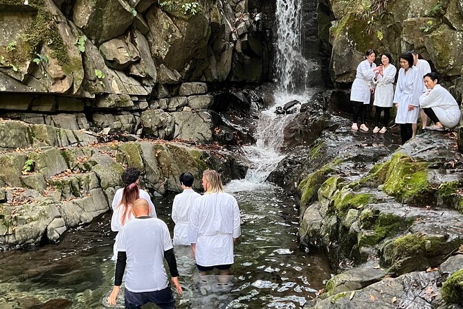 Tokyo Seasonal Peaks Discovery - Peak Tourist Seasons