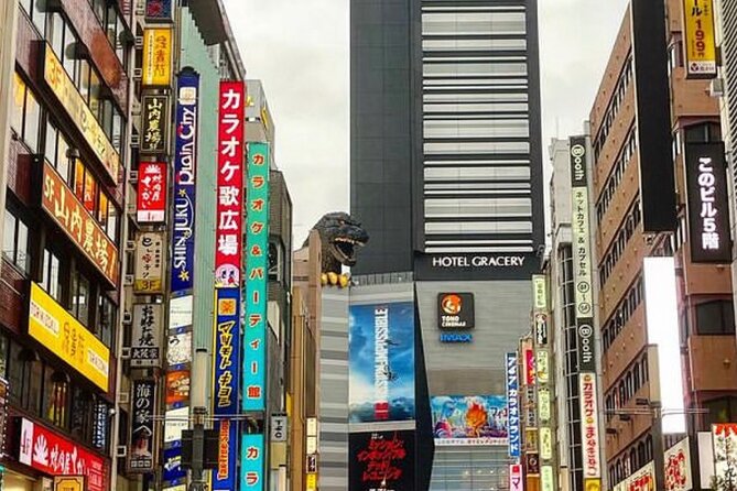 Tokyo Walking Tour With a Local Guide - Itinerary Highlights