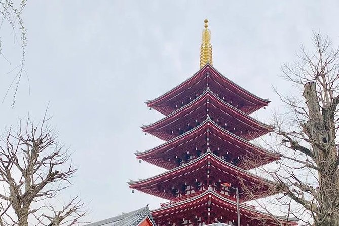 1 Day Private Charter Tokyo Sight Seeing Tour With Guide - Meeting and Pickup