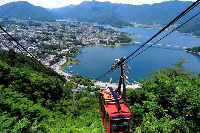 1 Day Private Mt Fuji Tour (Charter) - English Speaking Driver - Reviews