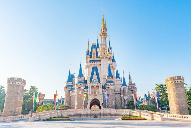 1 Day Ticket to Tokyo Disneyland With Private Transfer - Overview