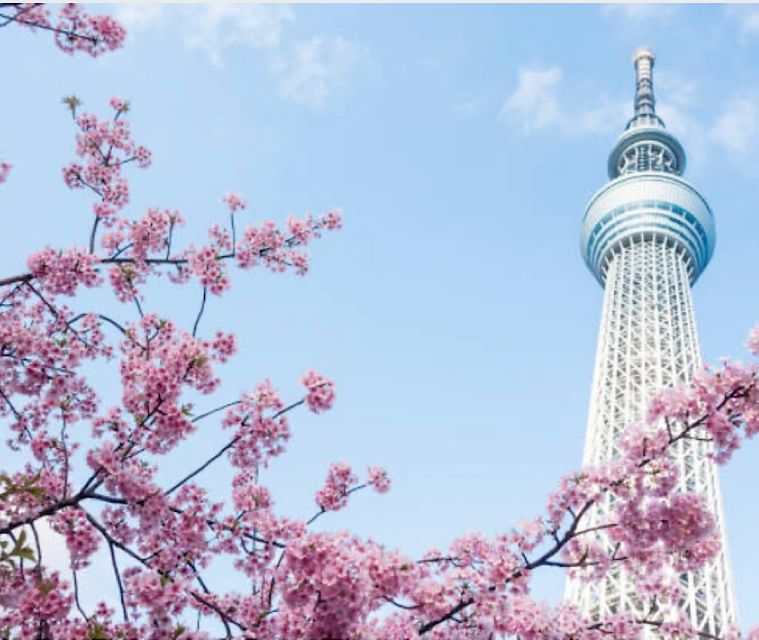 1 Day Tokyo Tour: Customizable (Up-To 6 Persons) - Exclusive Inclusions