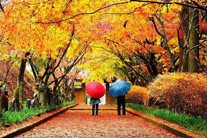 1 Hour Private Photoshoot in Tokyo - Meeting and Pickup