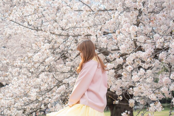 2 - Hour Private Walking Tokyo Photoshoot - Additional Information