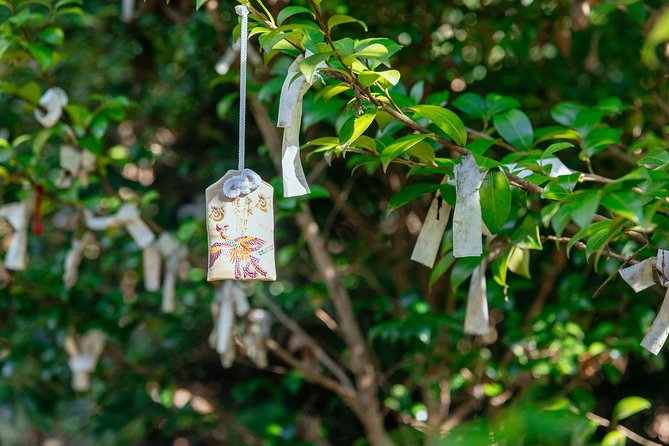 A Taste of Kyoto: Private Tour - Exclusive Itinerary