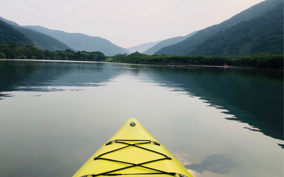 Amami: Morning Mangrove Kayaking Tour - Itinerary