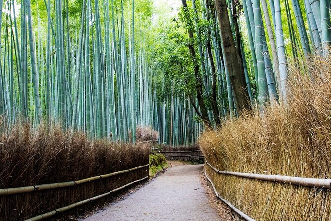 Arashiyama Bamboo Grove Day Trip From Kyoto With a Local: Private & Personalized - Personalized Experience With a Local Guide
