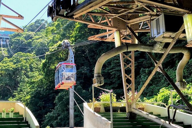 Atami Half-Day Private Tour With Government-Licensed Guide - Exclusions